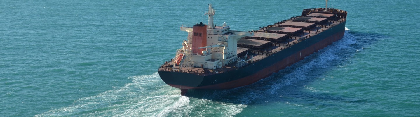 Zhenit website is online